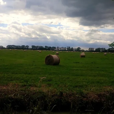 Froehlich * Straupitz