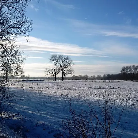 Froehlich