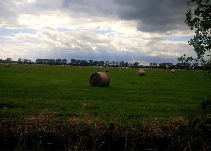 Froehlich * Straupitz